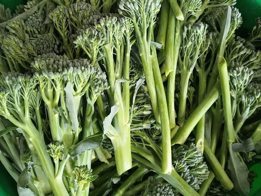 Broccoli at Concord Exporters