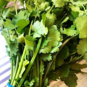 Coriander at Concord Exporters