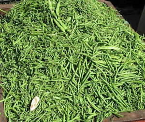 French beans at Concord Exporters