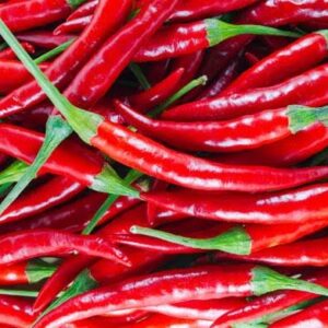 Fresh red chilies at Concord Exporters