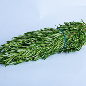 Rosemary Herbs at Concord Exporters