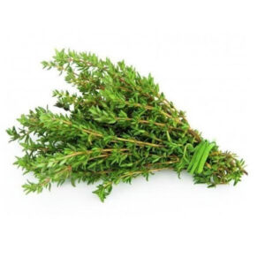 Thyme at Concord Exporters