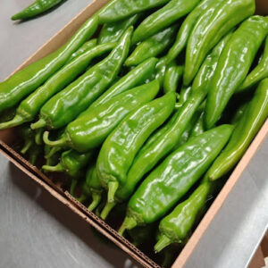 Green Chilies at Concord Exporters