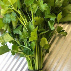 Parsley at Concord Exporters