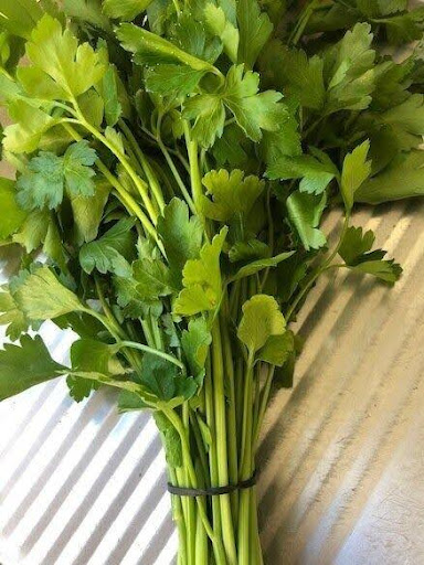 Parsley at Concord Exporters