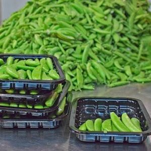 Peas at Concord Exporters